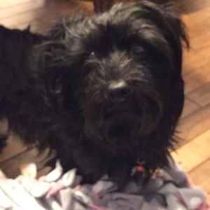 Meet your Posher, Sophia